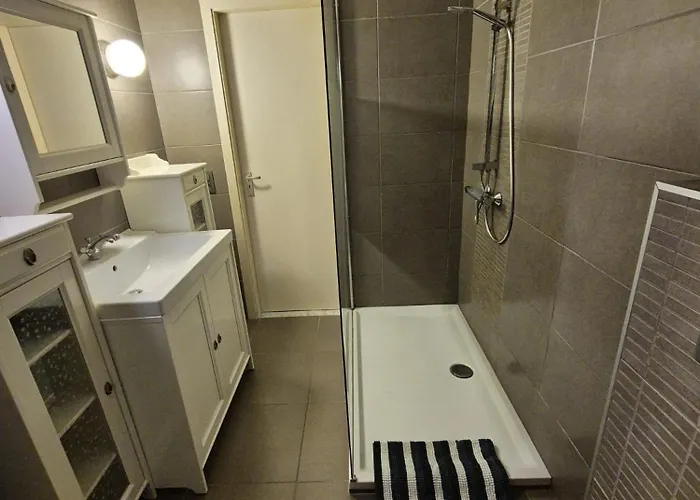 Sea-and Harbourview 6p Near Brugge 公寓 布兰肯贝赫