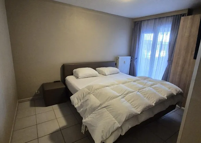 公寓 Sea-and Harbourview 6p Near Brugge 布兰肯贝赫